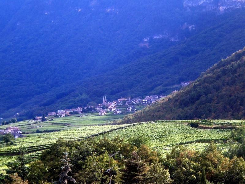 Biobauernhof St. Quirinus Apartman Caldaro Kültér fotó