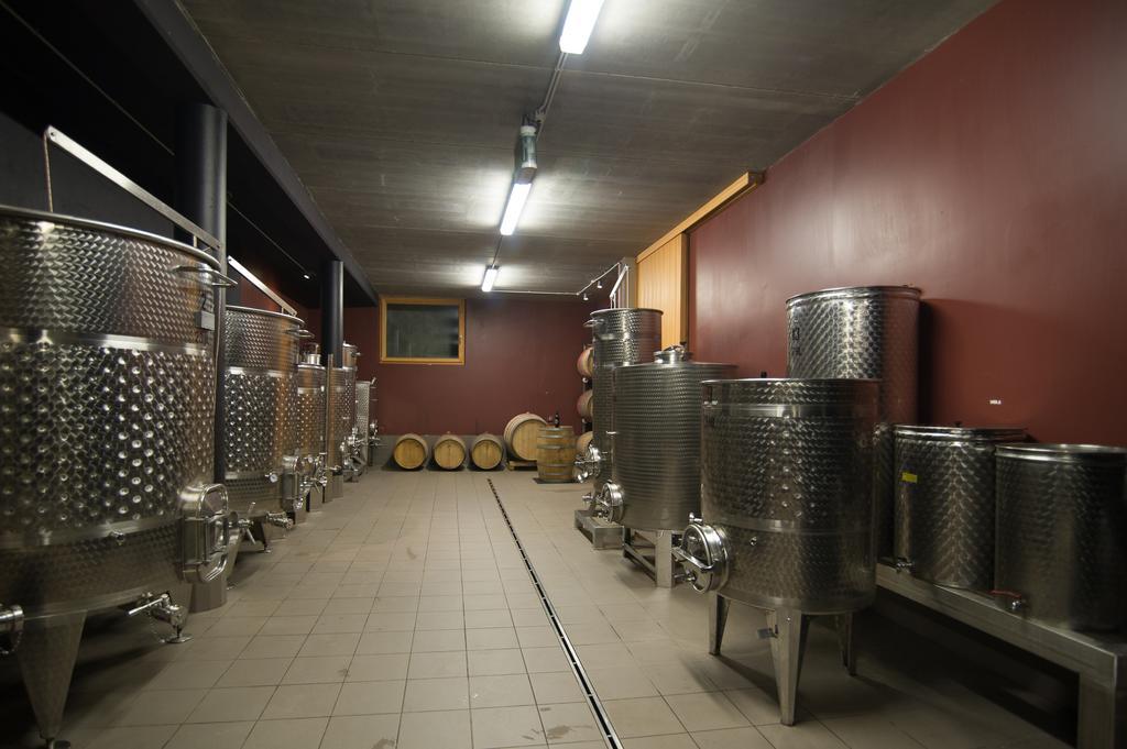 Biobauernhof St. Quirinus Apartman Caldaro Kültér fotó